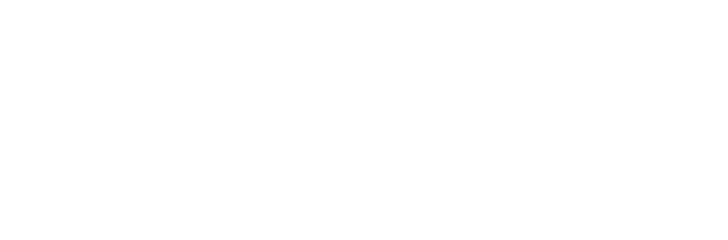 Salon Setu